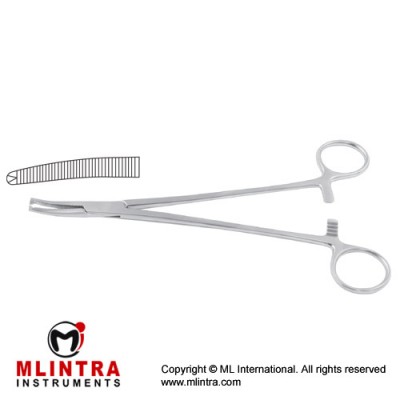 Faure Peritoneum Forcep Curved - 1 x 2 Teeth Stainless Steel, 21 cm - 8 1/4"